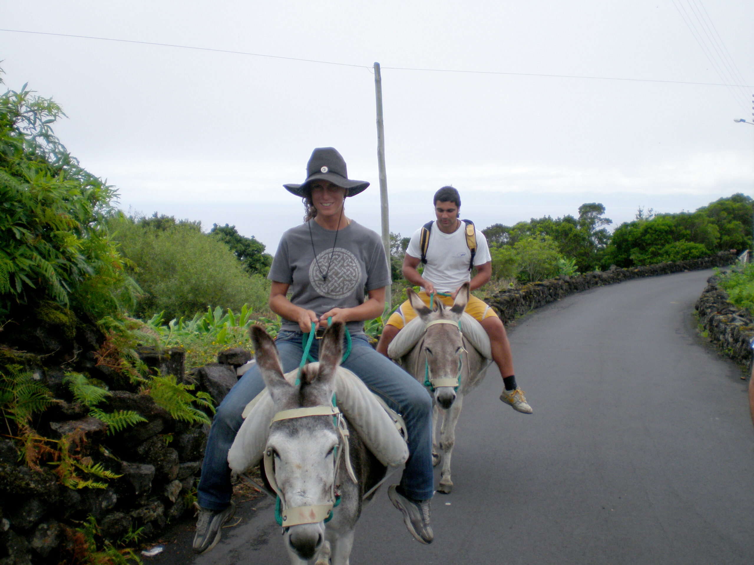 Atividades Equestres